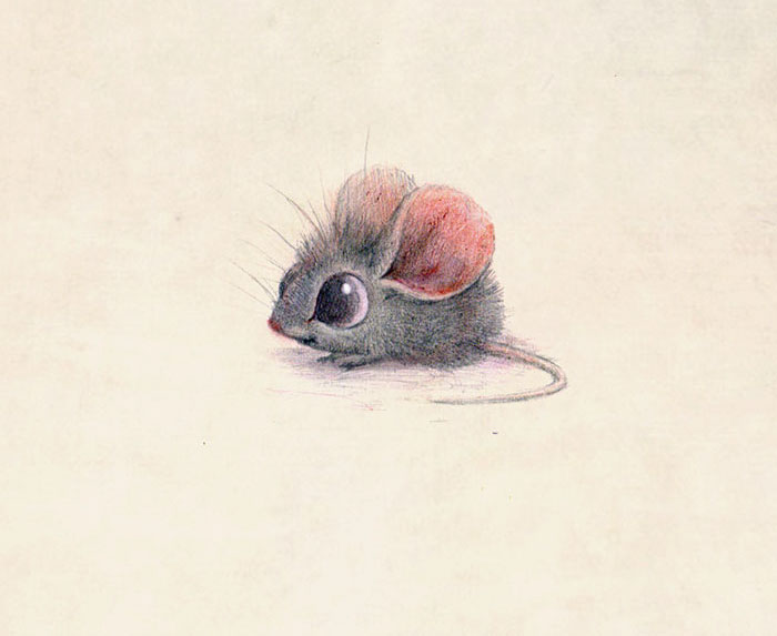 adorables-ilustraciones-animales-sydney-hanson (8)