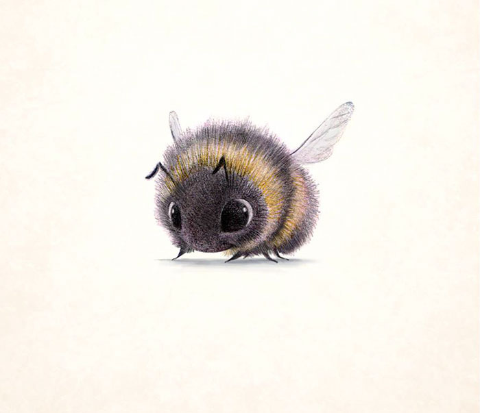 adorables-ilustraciones-animales-sydney-hanson (9)