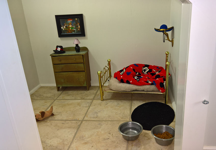 dormitorio-bajo-escaleras-perro-chihuahua-pancho (4)