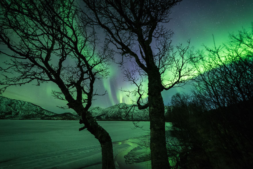 fotografia-aurora-boreal-damon-beckford-noruega (3)