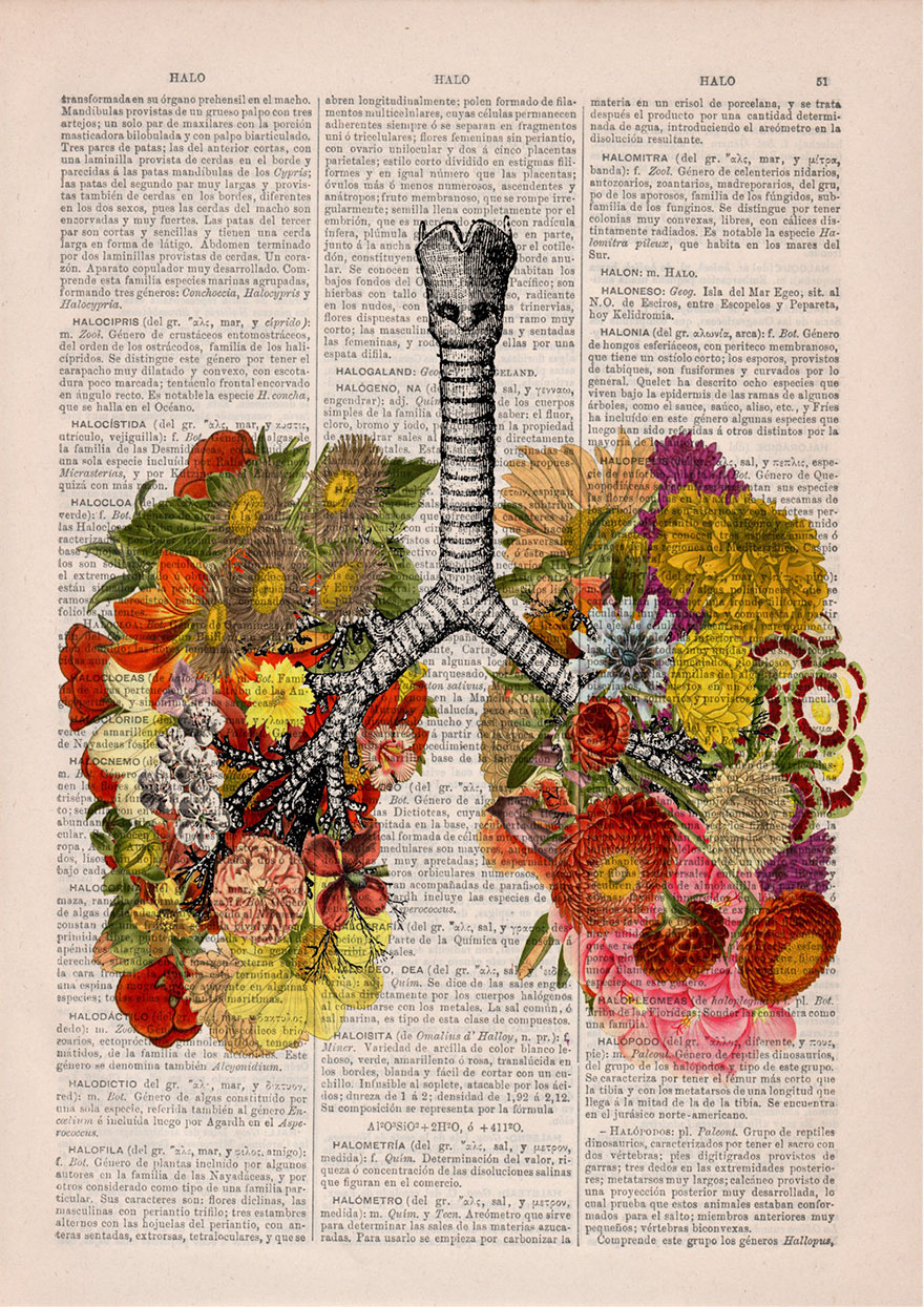 ilustraciones-anatomicas-flores-libros-viejos-prrint (2)