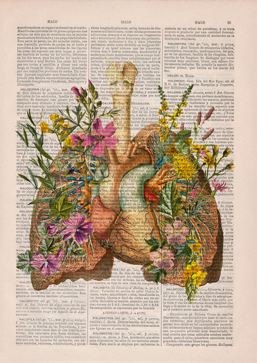 ilustraciones-anatomicas-flores-libros-viejos-prrint (4)