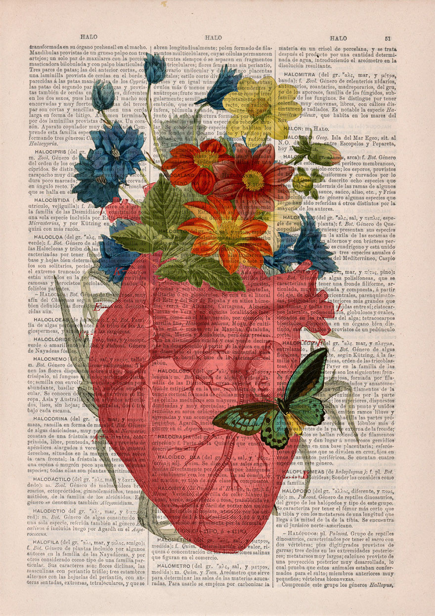 ilustraciones-anatomicas-flores-libros-viejos-prrint (7)