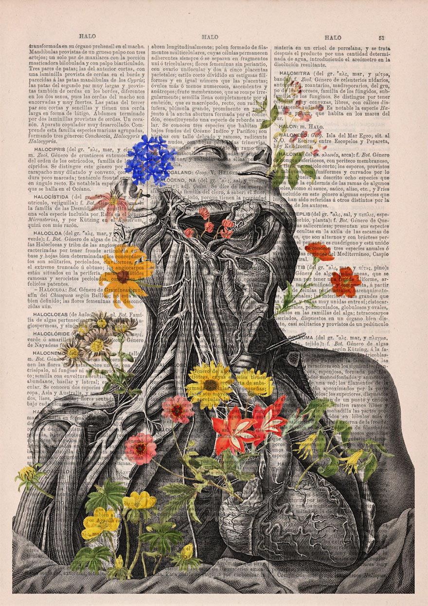 ilustraciones-anatomicas-flores-libros-viejos-prrint (8)