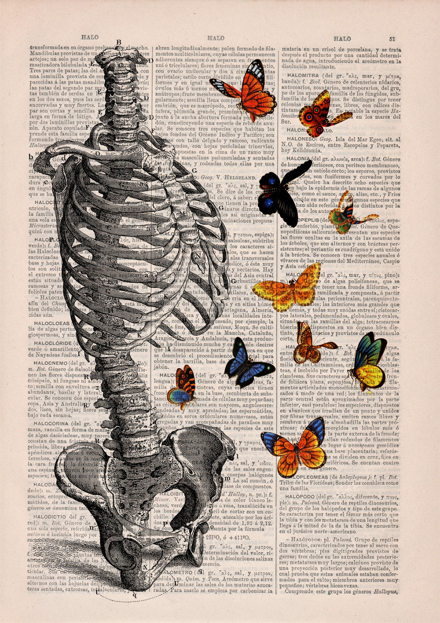 ilustraciones-anatomicas-flores-libros-viejos-prrint (9)