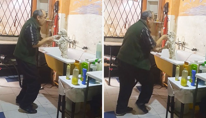 Este peluquero de mascotas argentino fue pillado bailando con el perro de un cliente y es encantador