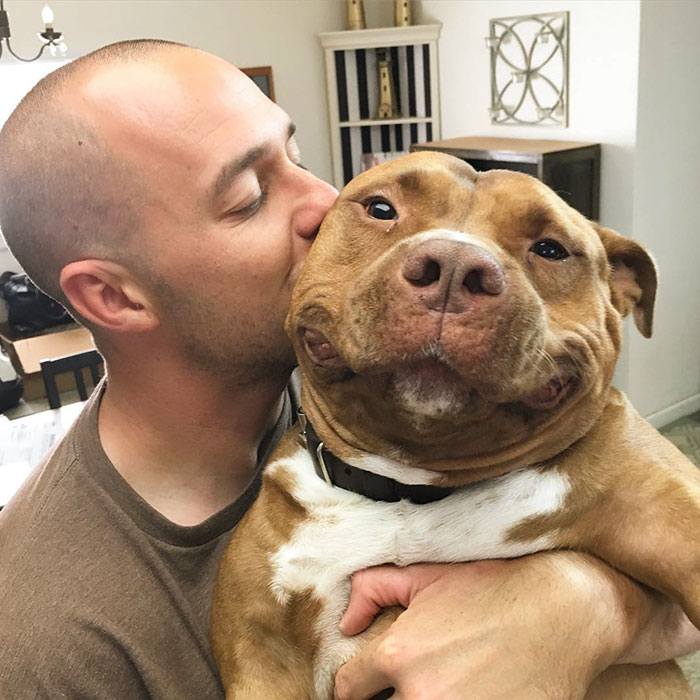 perro-pitbull-rescatado-sonrisa-instagram-meaty (10)