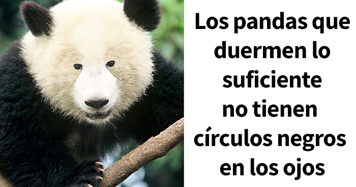 15 Datos increíbles que en realidad son 200% ciertos