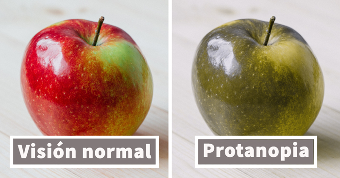 Te sorprenderá cómo ve el mundo la gente que sufre distintos tipos de daltonismo