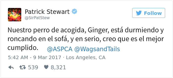 patrick-stewart-new-foster-dog-ginger-2