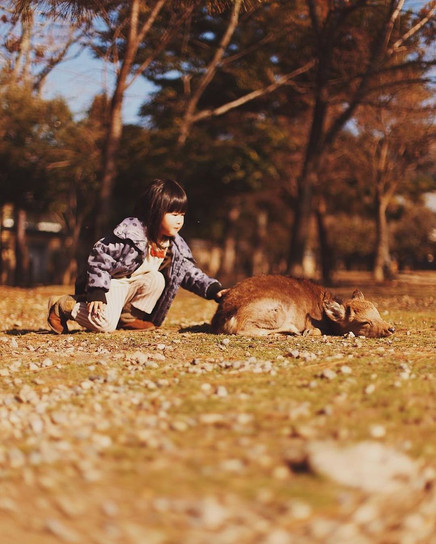 Nara, Japón
