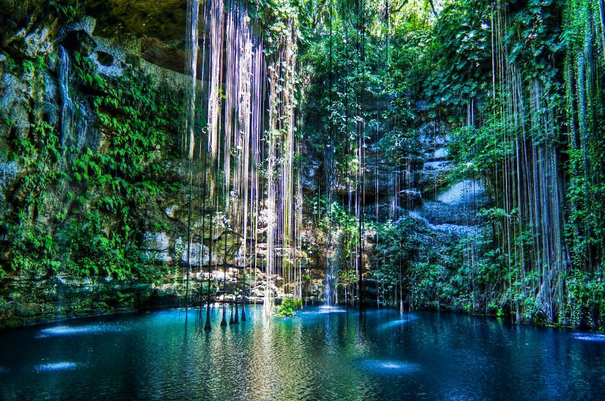 Un Cenote Por Dia: Nadar En Estas Maravillas Naturales