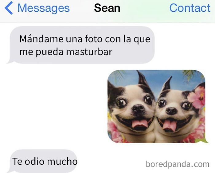 10+ Respuestas perfectas de mujeres a babosos