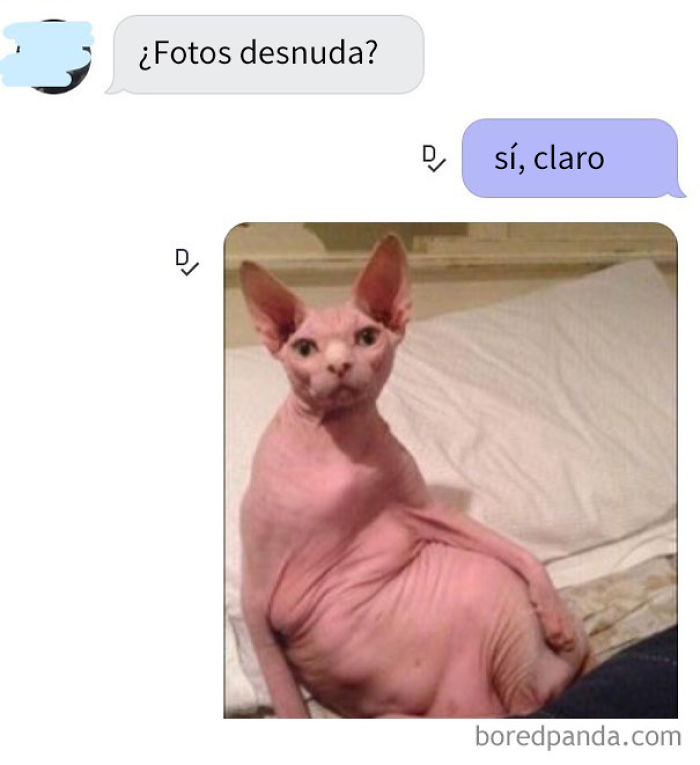 10+ Respuestas perfectas de mujeres a babosos