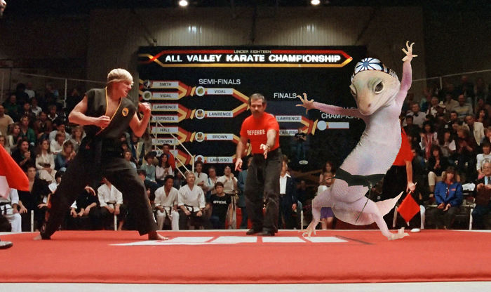 Karate Geko
