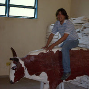 sergiodanielmartinetti avatar