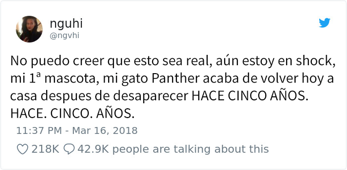 panther-1