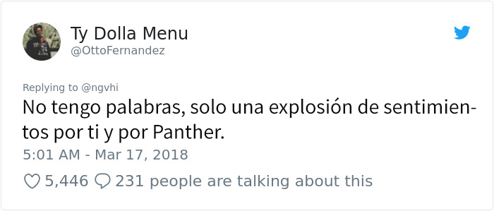 panther-13