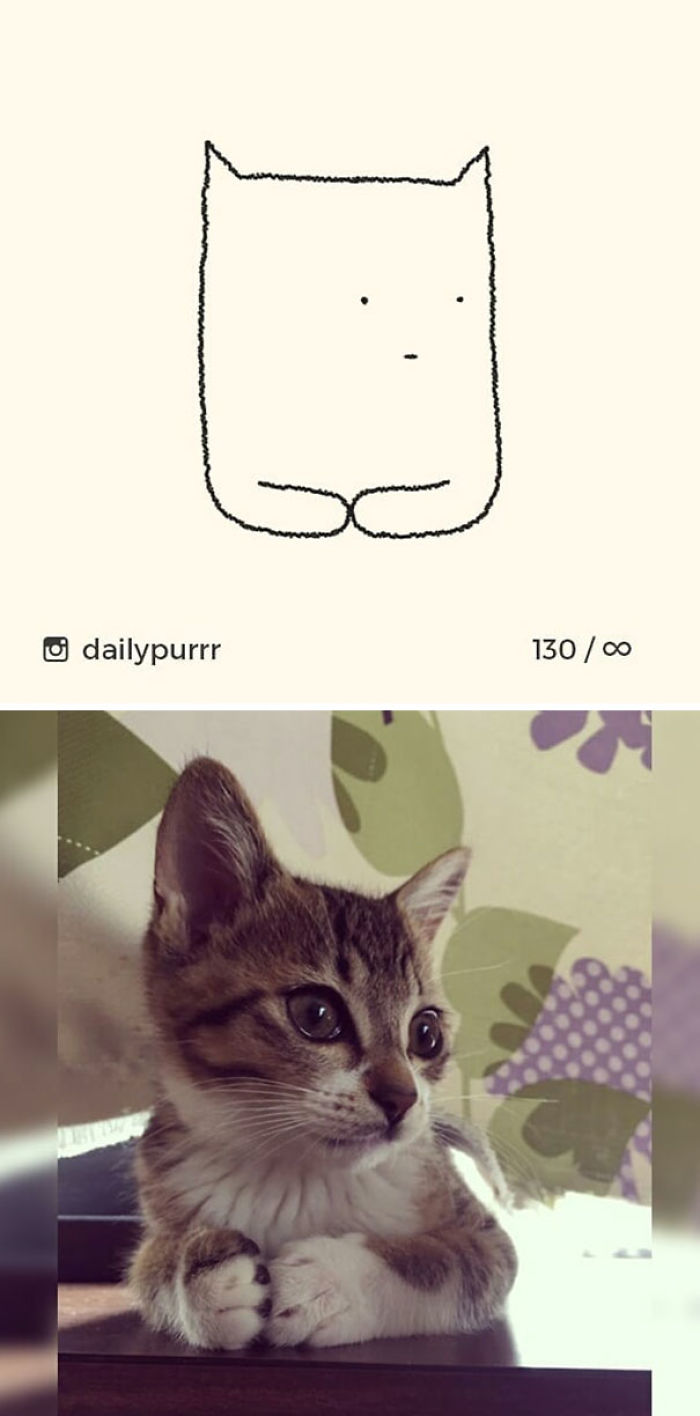 20 Veces Cuando ‘Los Dibujos Estúpidos De Gatos’ Hicieron Reír A Todos Por Su Precisión