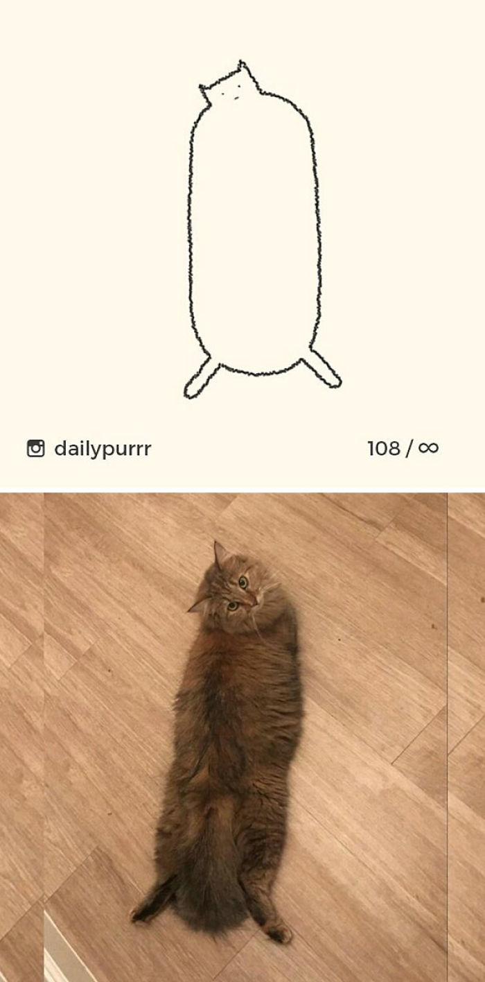 20 Veces Cuando ‘Los Dibujos Estúpidos De Gatos’ Hicieron Reír A Todos Por Su Precisión