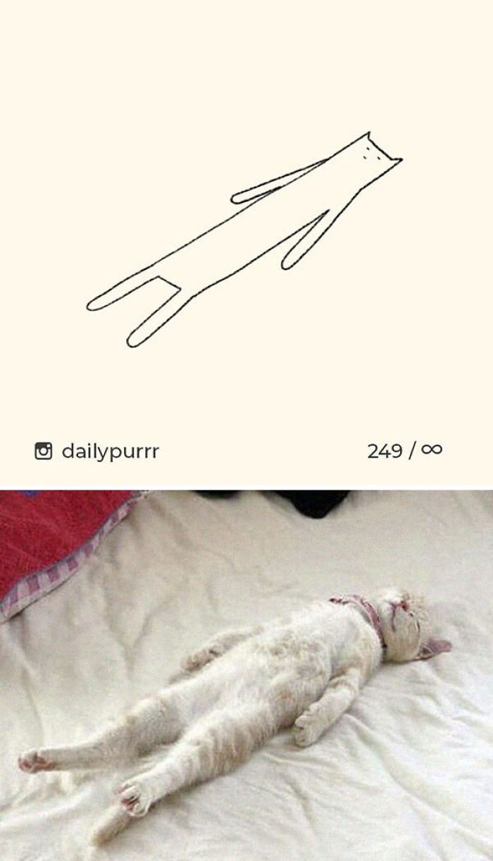 20 Veces Cuando ‘Los Dibujos Estúpidos De Gatos’ Hicieron Reír A Todos Por Su Precisión