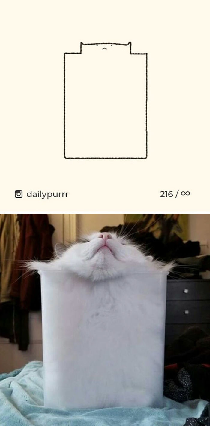 20 Veces Cuando ‘Los Dibujos Estúpidos De Gatos’ Hicieron Reír A Todos Por Su Precisión