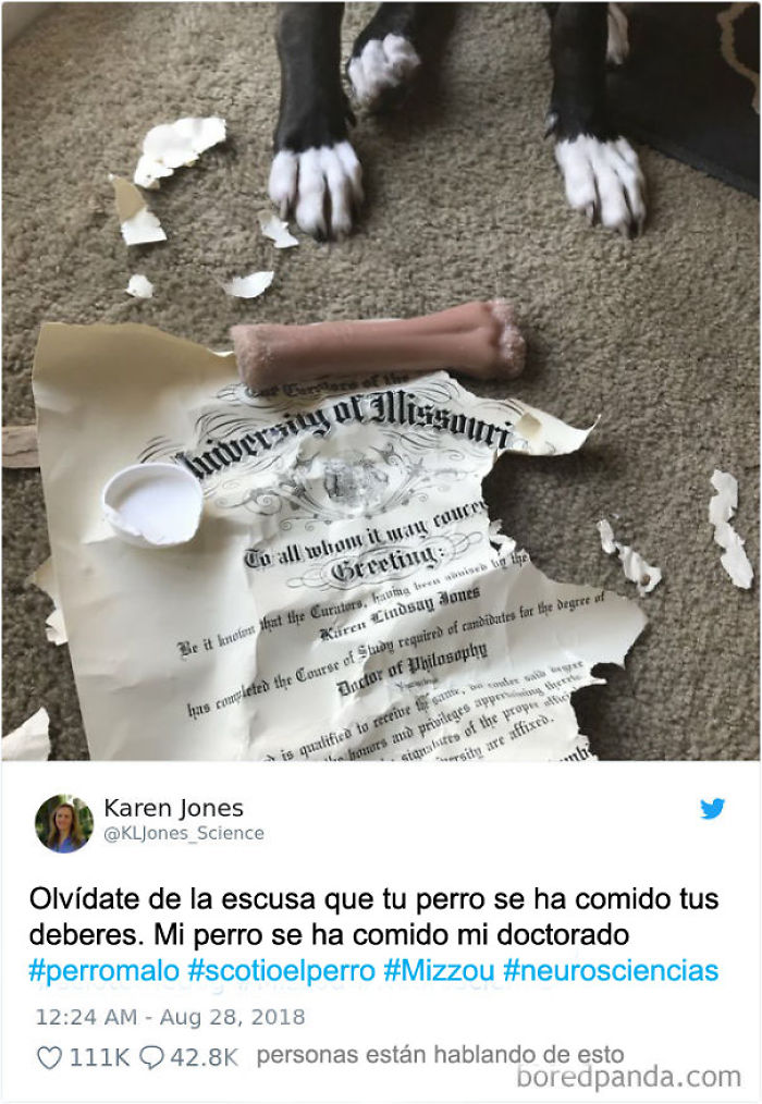 Suerte Con Esta Excusa