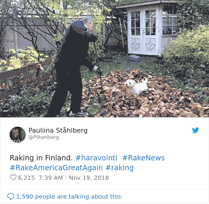Rastrillando En Finlandia