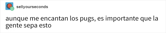 "Los pugs no son adorables, sino animales deformes y enfermos que no deberían existir": Este hilo de Tumblr cambiará tu modo de ver los pugs