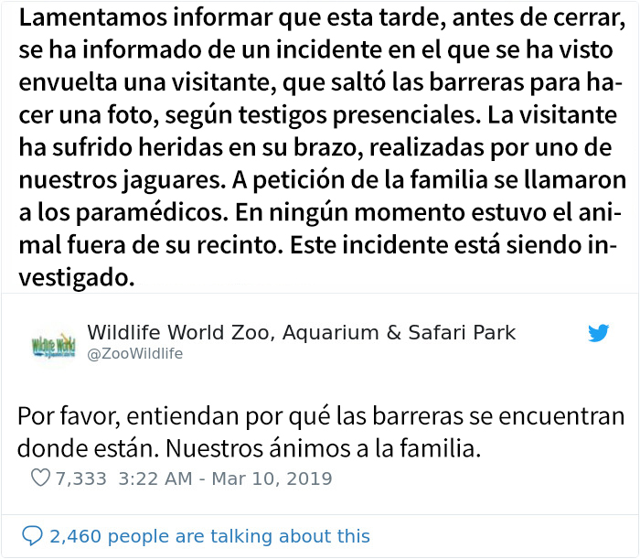 Este zoo confirma que el jaguar que atacó a una mujer que intentaba hacerse un selfie con él no será sacrificado