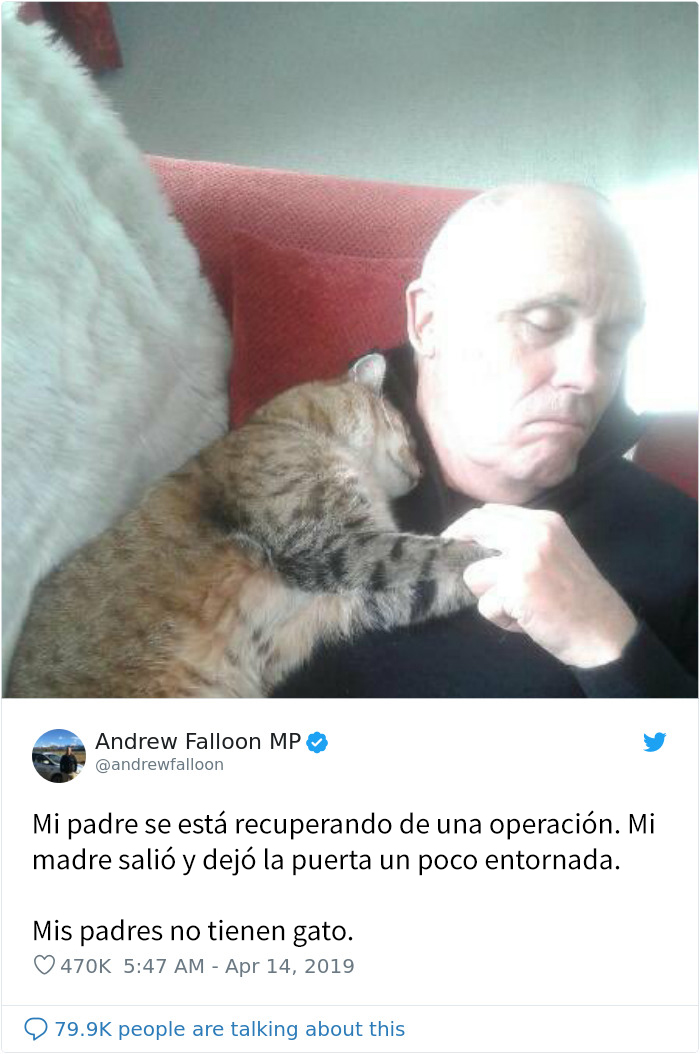 Este hombre recuperándose de una operación se despierta con un gato desconocido acurrucado encima suyo