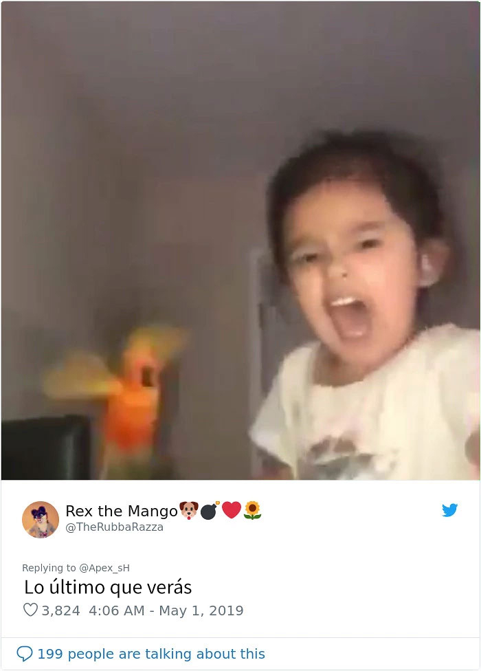 Esta niña entrena a su pájaro para atacar a quien ella quiera, y parece una supervillana