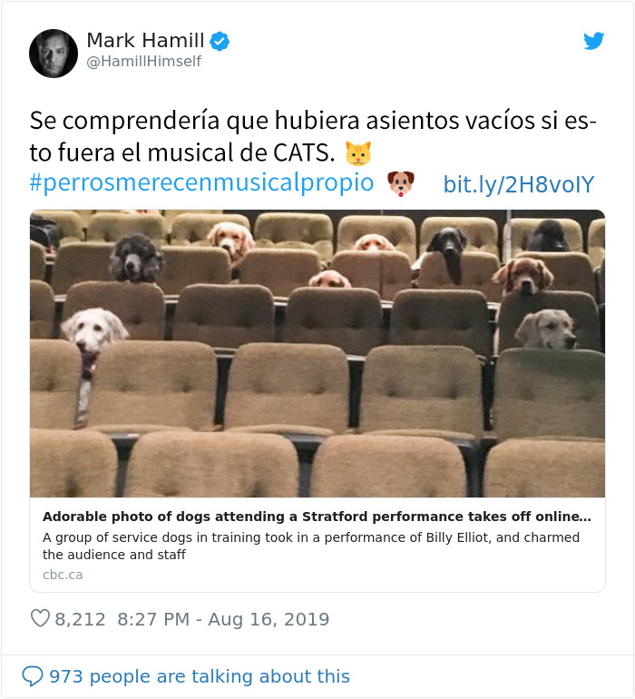 Estos perros de servicio asistieron al musical de Billy Elliot para aprender a comportarse en un teatro