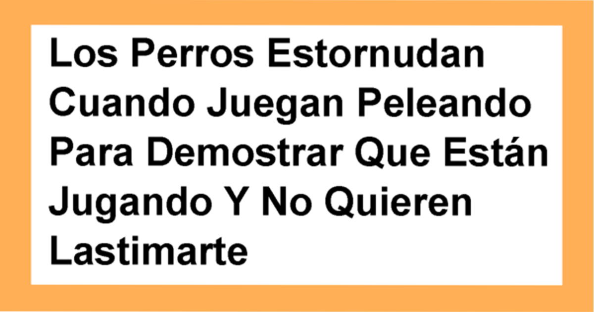 20 Datos Interesantes De Animales Que Puedes Utilizar En Una Conversación Con Tus Amigos