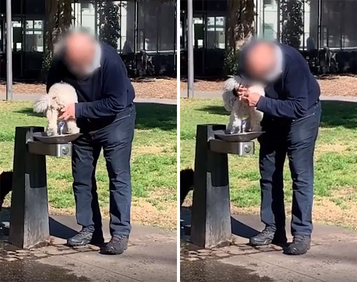 Lavándole El Culo A Su Perro En Una Fuente Pública Para Beber