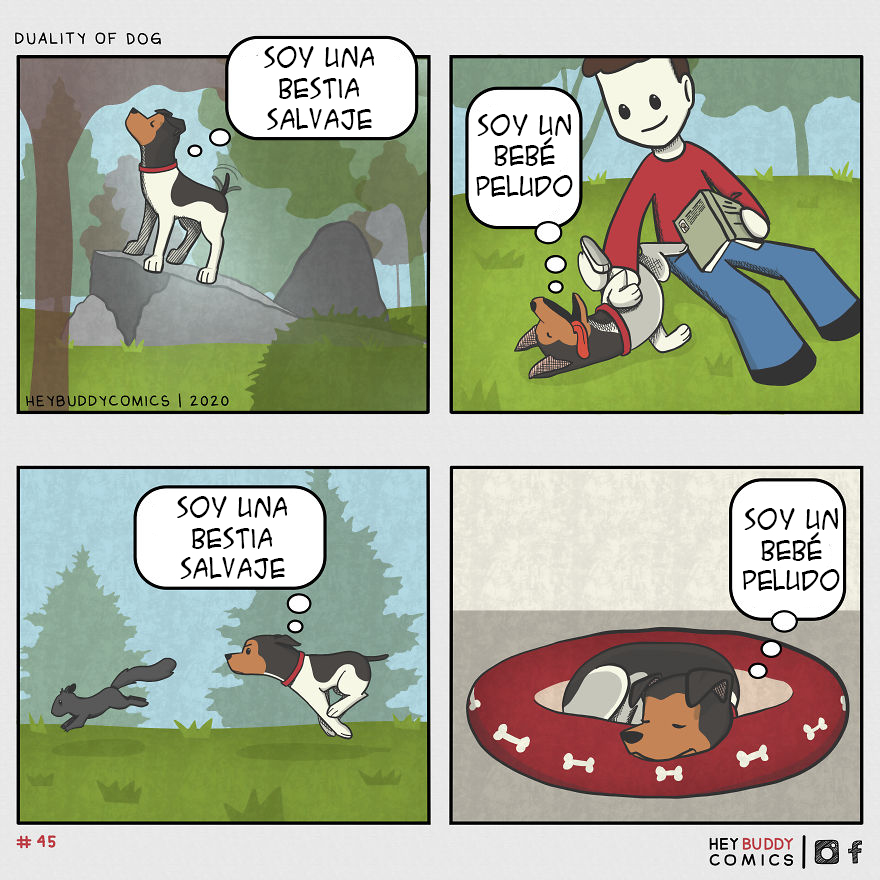 Dualidad Del Perro