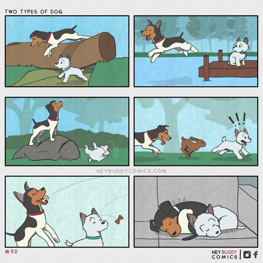 2 Tipos De Perro