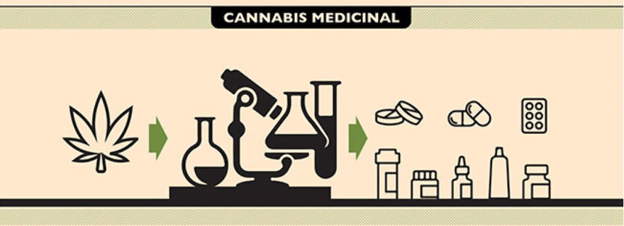 Medicina Natural: El Cannabis Medicinal