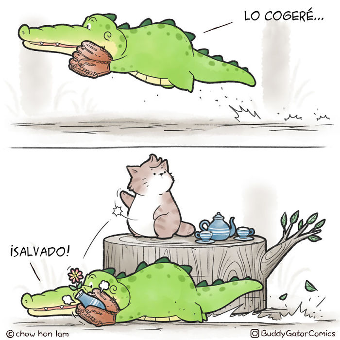 Salvado