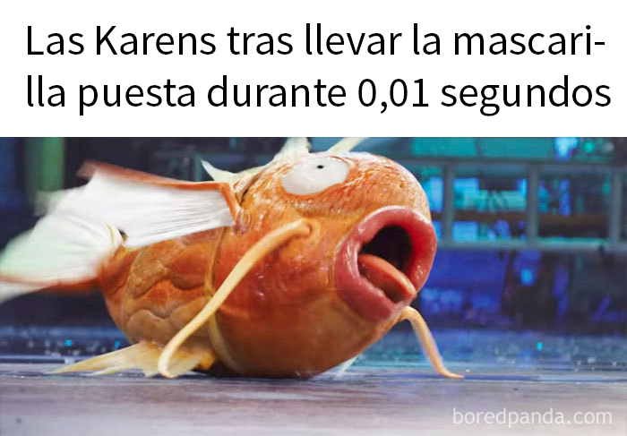 No Seas Karen