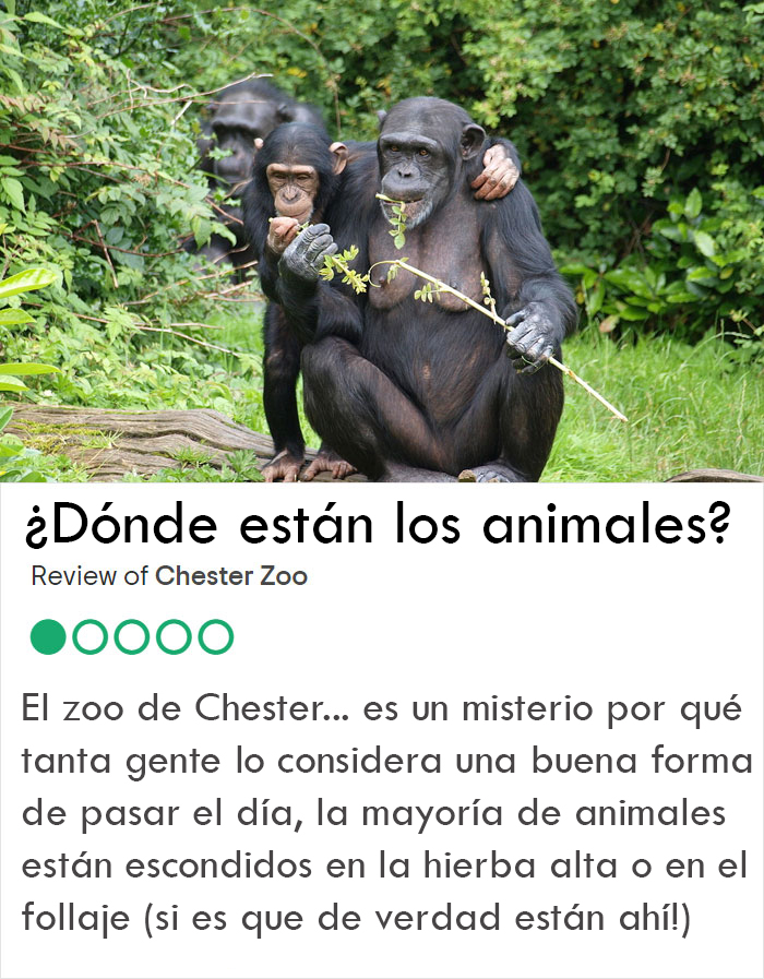 Zoo De Chester