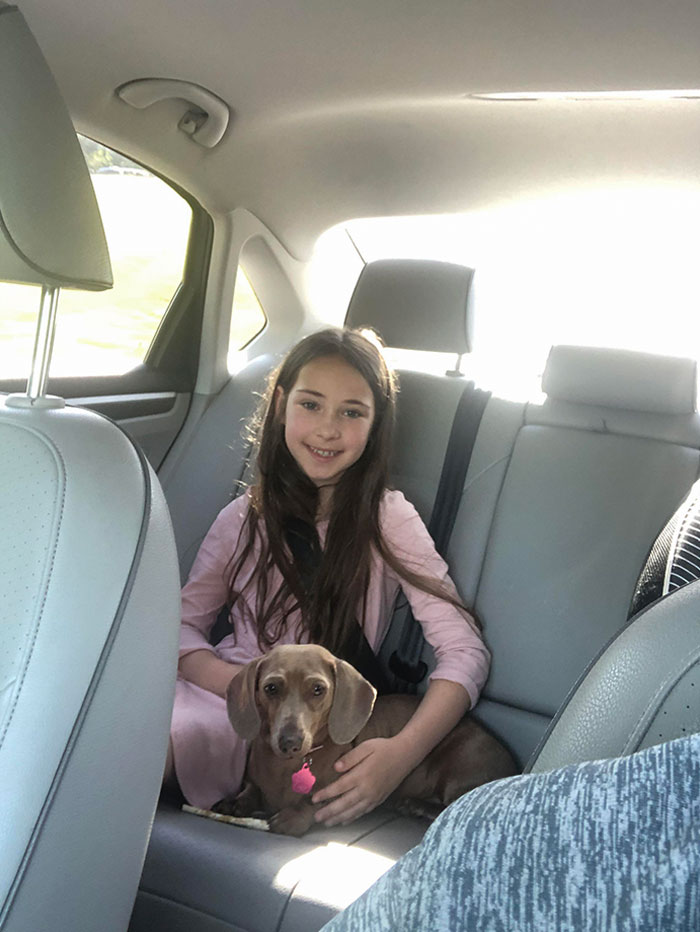 Mi Hija Llevaba 5 Años Pidiendo Un Perro. Esta Semana Hemos Adoptado A Su Nuevo Mejor Amigo