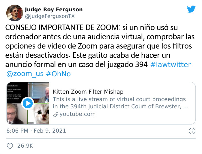 "Creo que tiene un filtro activado": Un abogado se presenta accidentalmente con un filtro de gato en una audiencia judicial vía Zoom
