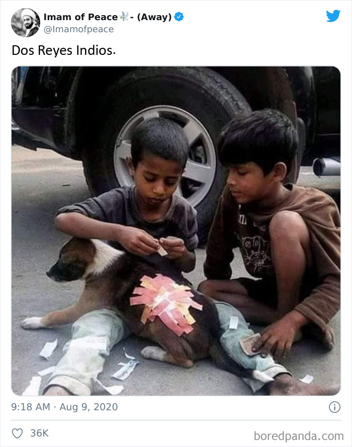 Dos niños de la calle, con apenas dinero para permitirse unas chanclas, poniendo tiritas a un perro herido