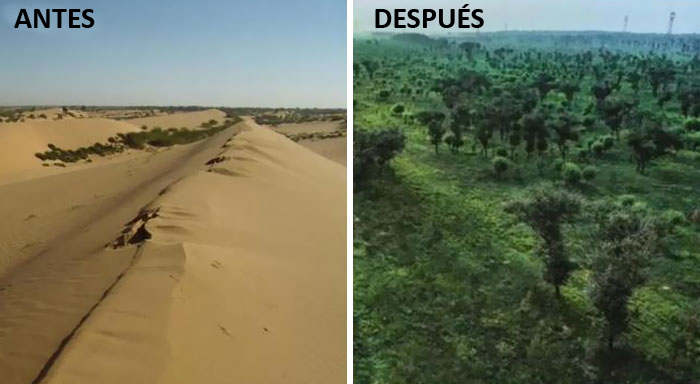 En el Noroeste de China ha desaparecido el desierto de Mu-Us, de 42.200 kilómetros cuadrados