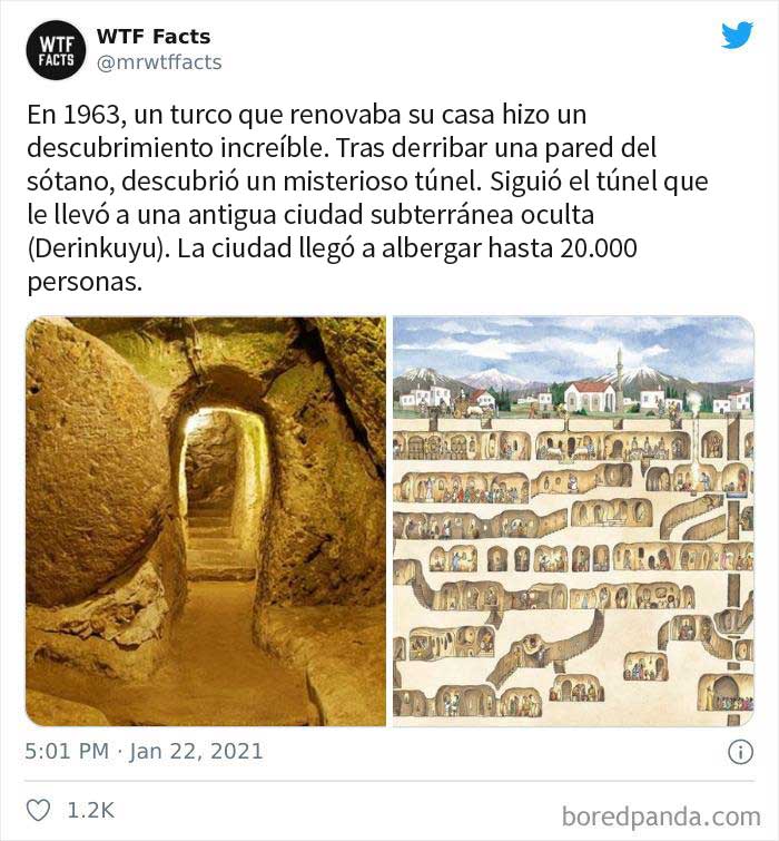 50 Random Facts That Sound Fake But Aren't, Shared By This Twitter Account