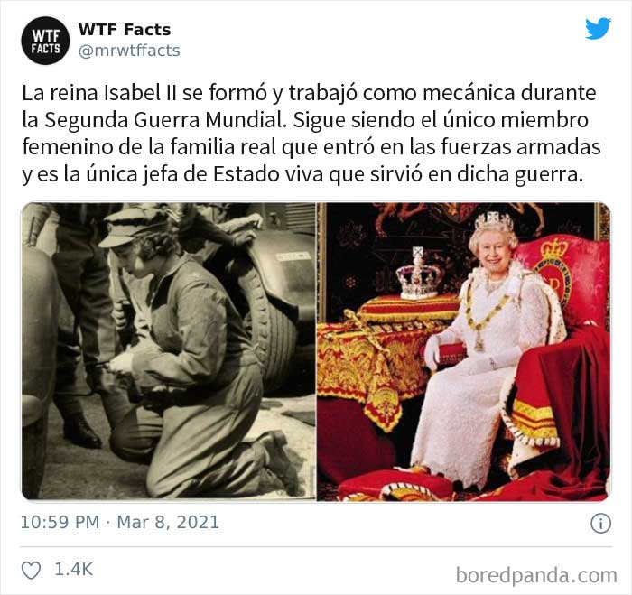 50 Random Facts That Sound Fake But Aren't, Shared By This Twitter Account