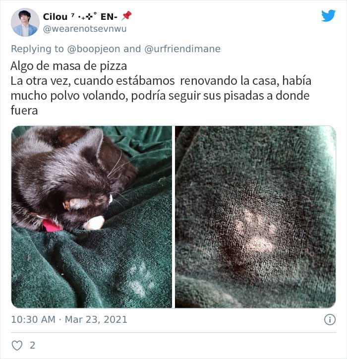 19 Crimes And Criminals Caught By Their Owners, As Shared In This Twitter Thread