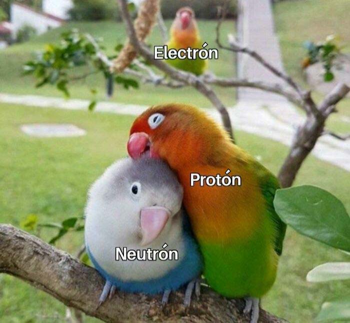 50 Of The Most Clever Science Memes That Perfectly Blend Humor With Knowledge