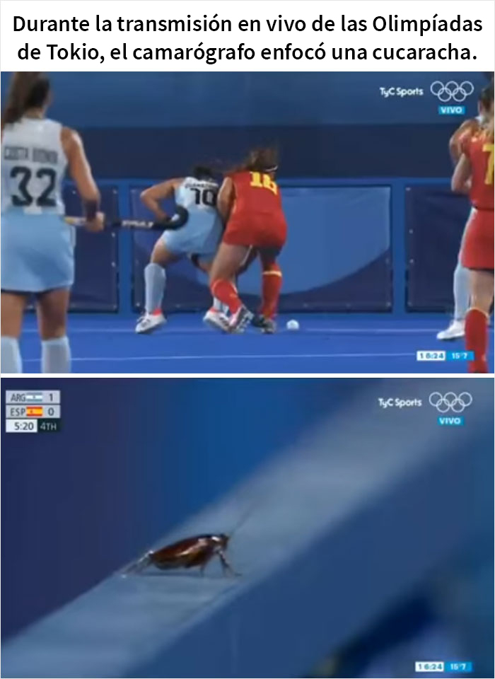 45 Of Funniest Olympic Memes From The Tokyo Games